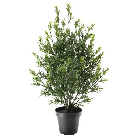 Искусственное растение в горшке ФЕЙКА, д/дома/улицы, Розмарин куст (17 см)