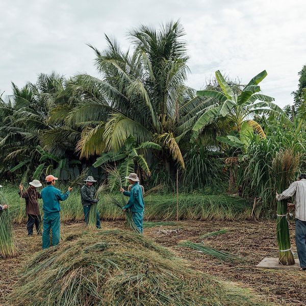 Корзина, водоросли зеленый 30 см IKEA ТИЛЛЕВИПС 304.395.08 - фото 7