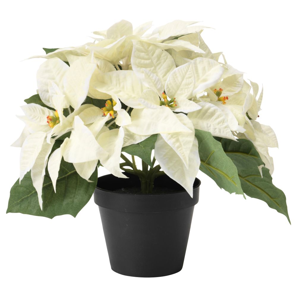 Искусственное растение в горшке ФЕЙКА, "Рождественская звезда" белый (12 см) - фото 1