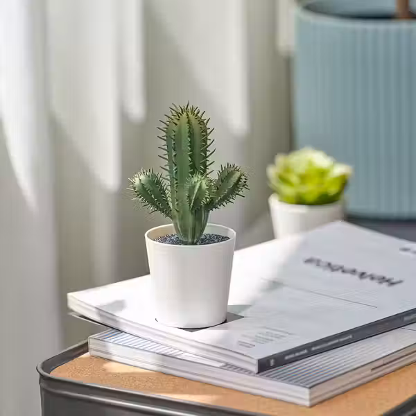 FEJKA Искусственное растение в горшке - д/дома/улицы кактус 6 см - схема-чертеж с размерами