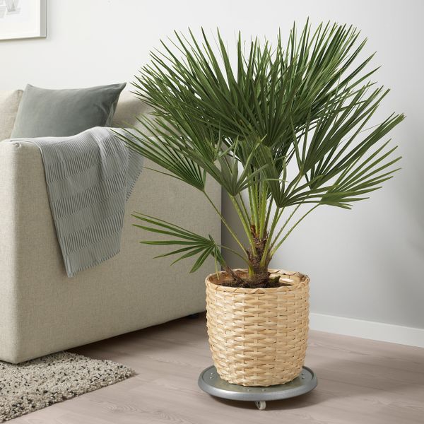 Кашпо, бамбук 24 см IKEA KAFFEBÖNA КАФФЕБОНА 704.287.63 - фото 5