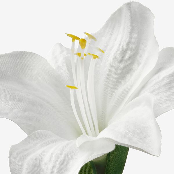 Искусственное растение и кашпо, Амариллис белый, 6 см IKEA ВИНТЕРФЕСТ 604.370.27 - схема-чертеж с размерами