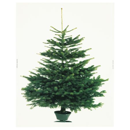 Отрез ткани, рождественская елка белый, зеленый 150x220 см IKEA ВИНТЕР 2020 204.759.74