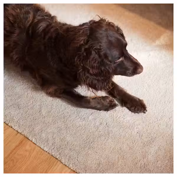 STOENSE Ковер, короткий ворс - белый с оттенком 170x240 см - фото 6