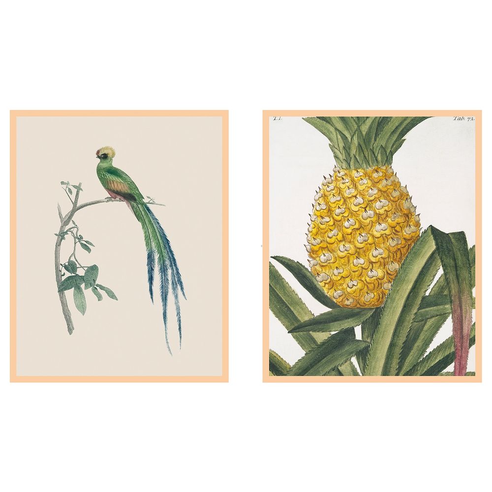 Рама с постером, Тропики 40x50 см IKEA ФАГЕРЁН 704.721.19 - схема-чертеж с размерами