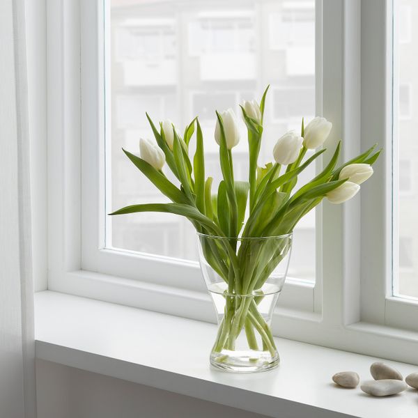 Цветочный букет, Тюльпан IKEA BLOMMA ЦВЕТОК 101.464.17 - фото 4