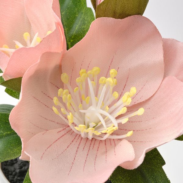 IKEA, дополнительный ракурс - схема-чертеж с размерами