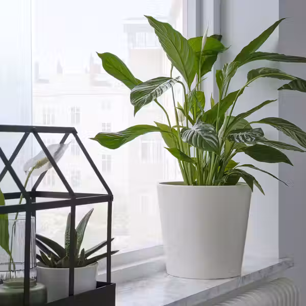 SOJABÖNA СОЙАБОНА Кашпо - белый 19 см - фото 6