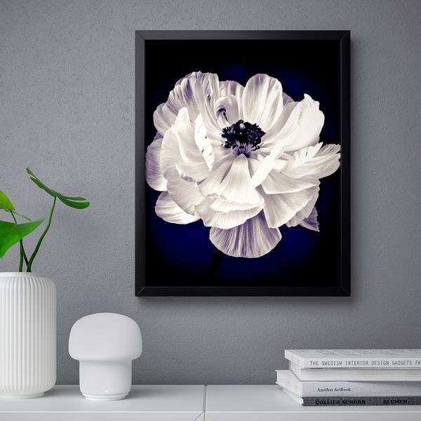 Постер, Лютик, 40x50 см IKEA DRÖMBILD ДРЁМБИЛЬД 304.420.68 - фото 3