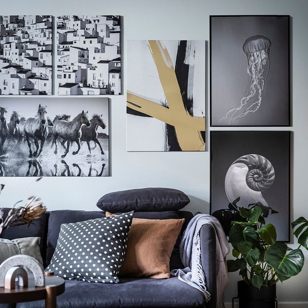 Постер, Раковина наутилуса и медуза 50x70 см IKEA BILD БИЛЬД 305.004.59 - схема-чертеж с размерами