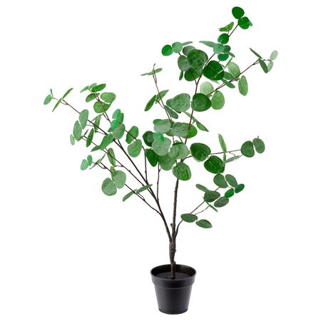 Искусственное растение в горшке, для дома, улицы эвкалипт 12 см IKEA FEJKA ФЕЙКА 604.745.62