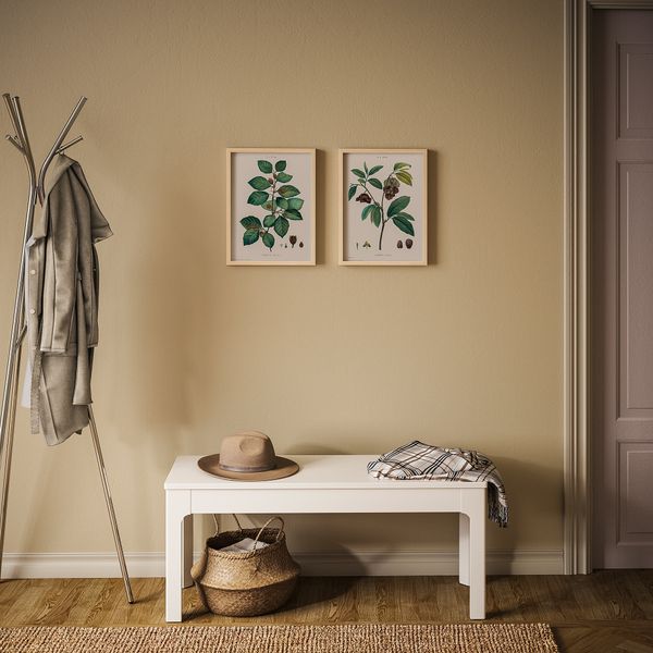 Постер, Ботанические рисунки II, 30x40 см IKEA DRÖMBILD ДРЁМБИЛЬД 204.469.34 - фото 3