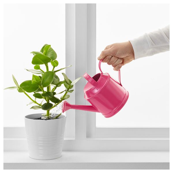 Лейка СОККЕР, д/дома/улицы, розовый (1 л) - схема-чертеж с размерами