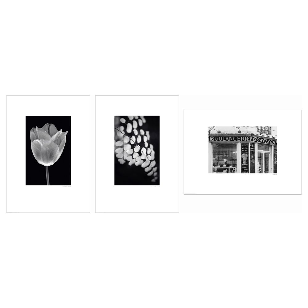 Постер БИЛЬД ФЬЕЛЬСТА, различные мотивы (50x70 см) - фото 1