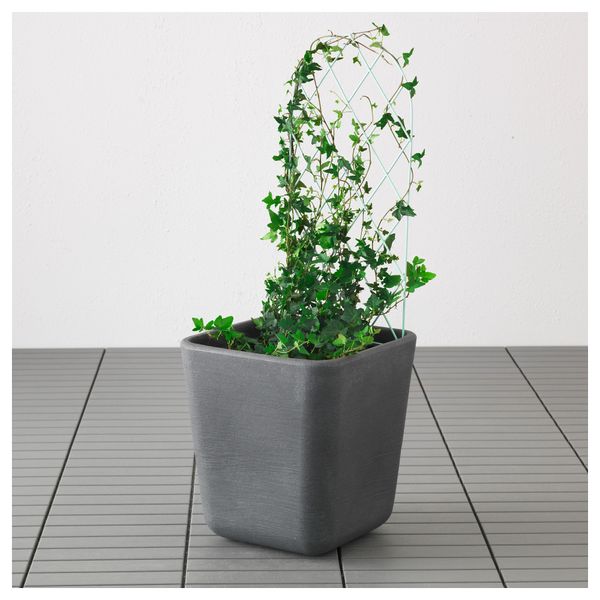 Шпалера БАРСЭ, светло-зеленый (31x79 см) - схема-чертеж с размерами