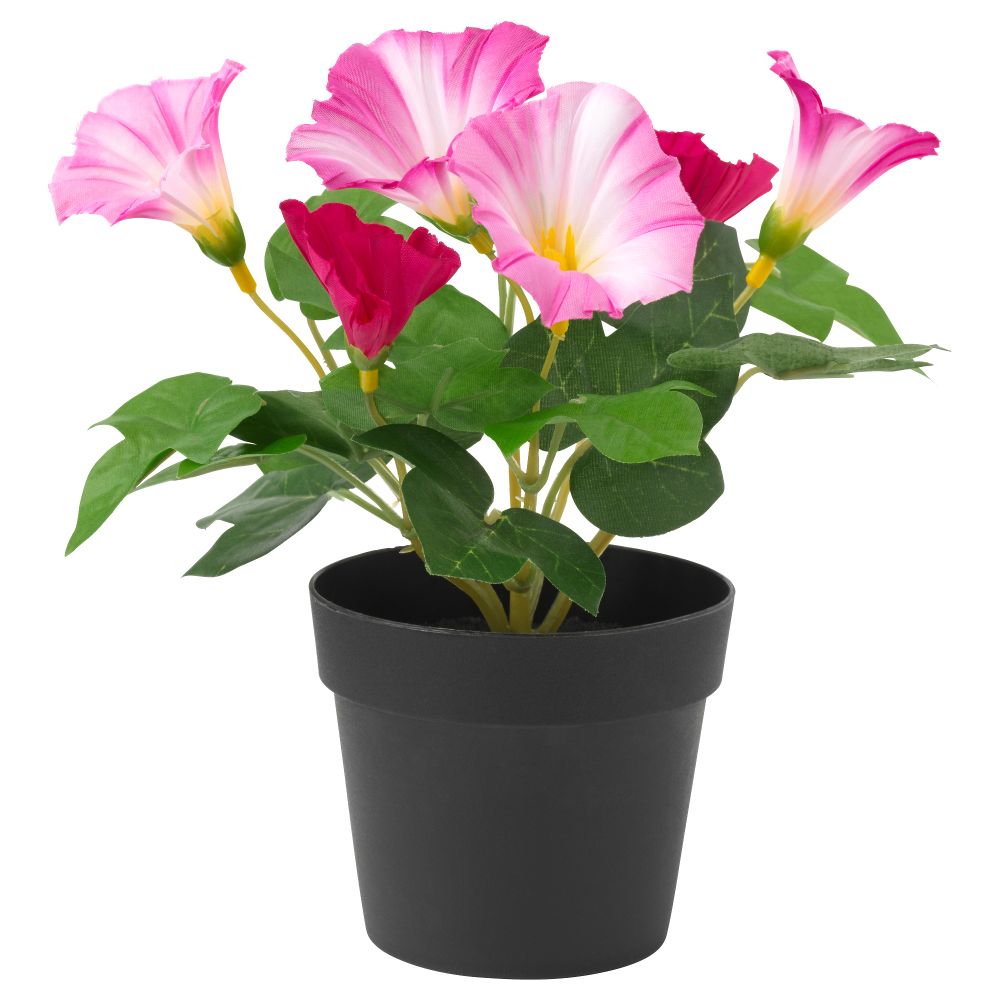 Искусственное растение в горшке ФЕЙКА, Ипомея трехцветная розовый (9 см) - фото 1