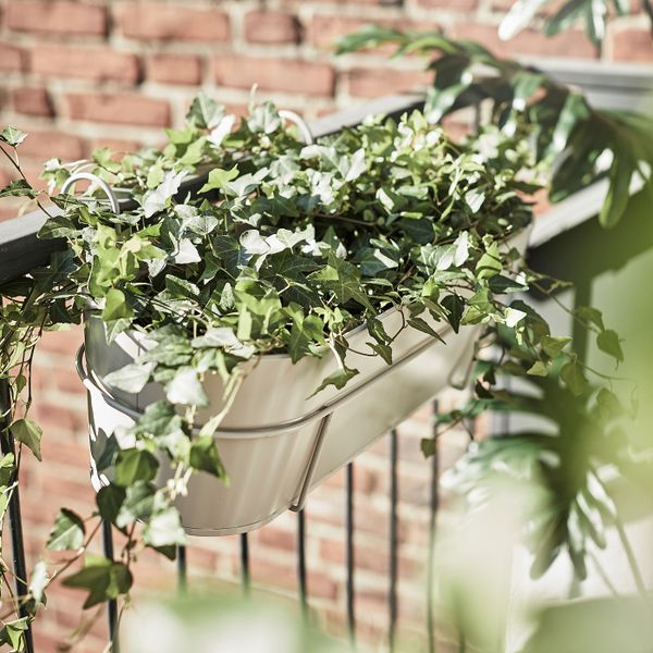 Ящик для цветов с держ, для дома, улицы бежевый 56x20 см IKEA VITLÖK ВИТЛОК 104.758.18 - фото 2