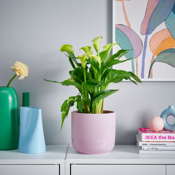 Кашпо, для дома, улицы сиреневый, 15 см IKEA GRADVIS ГРАДВИС 205.693.31 - схема-чертеж с размерами