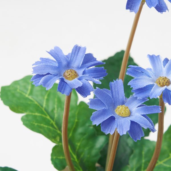 Искусственное растение в горшке,3 шт., 6 см, для дома, улицы желтый, розовый фиолетовый IKEA FEJKA ФЕЙКА 905.716.70 - фото 4