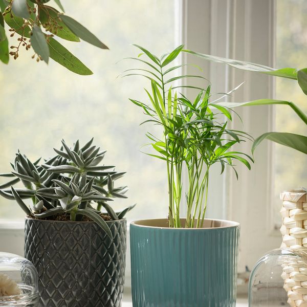 Кашпо, серый 9 см IKEA CHIAFRÖN ЧИАФРЁН 504.419.06 - фото 3