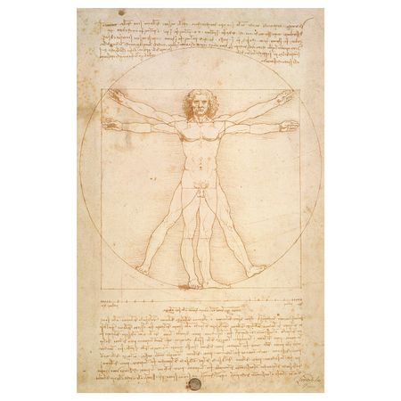 Холст, Витрувианский человек 78x118 см IKEA BJÖRKSTA БЬЁРКСТА 704.799.22