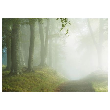 Картина БЬЁРКСТА, лесная дорога (200x140 см)