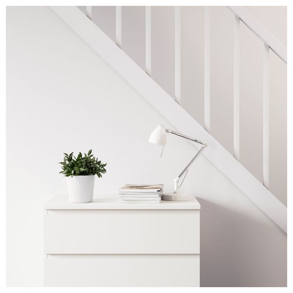 Искусственное растение в горшке ФЕЙКА, травы, различные растения (10 см) - фото 5