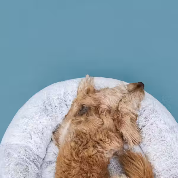 UTSÅDD УТСОДД Кроватка для домашнего питомца - светло-серый M - фото 3