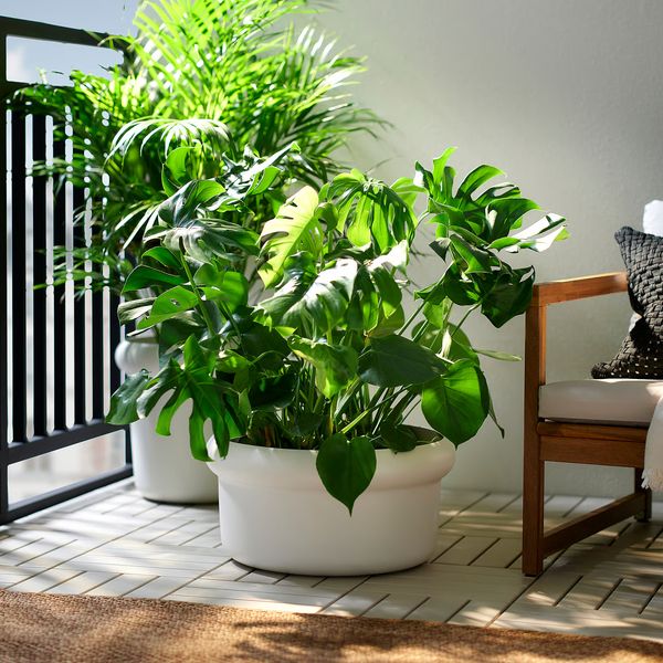 MÅBÄRSBUSKE МОБЕРСБЮСКЕ Горшок цветочный - для сада/белый с оттенком 44 см - фото 2