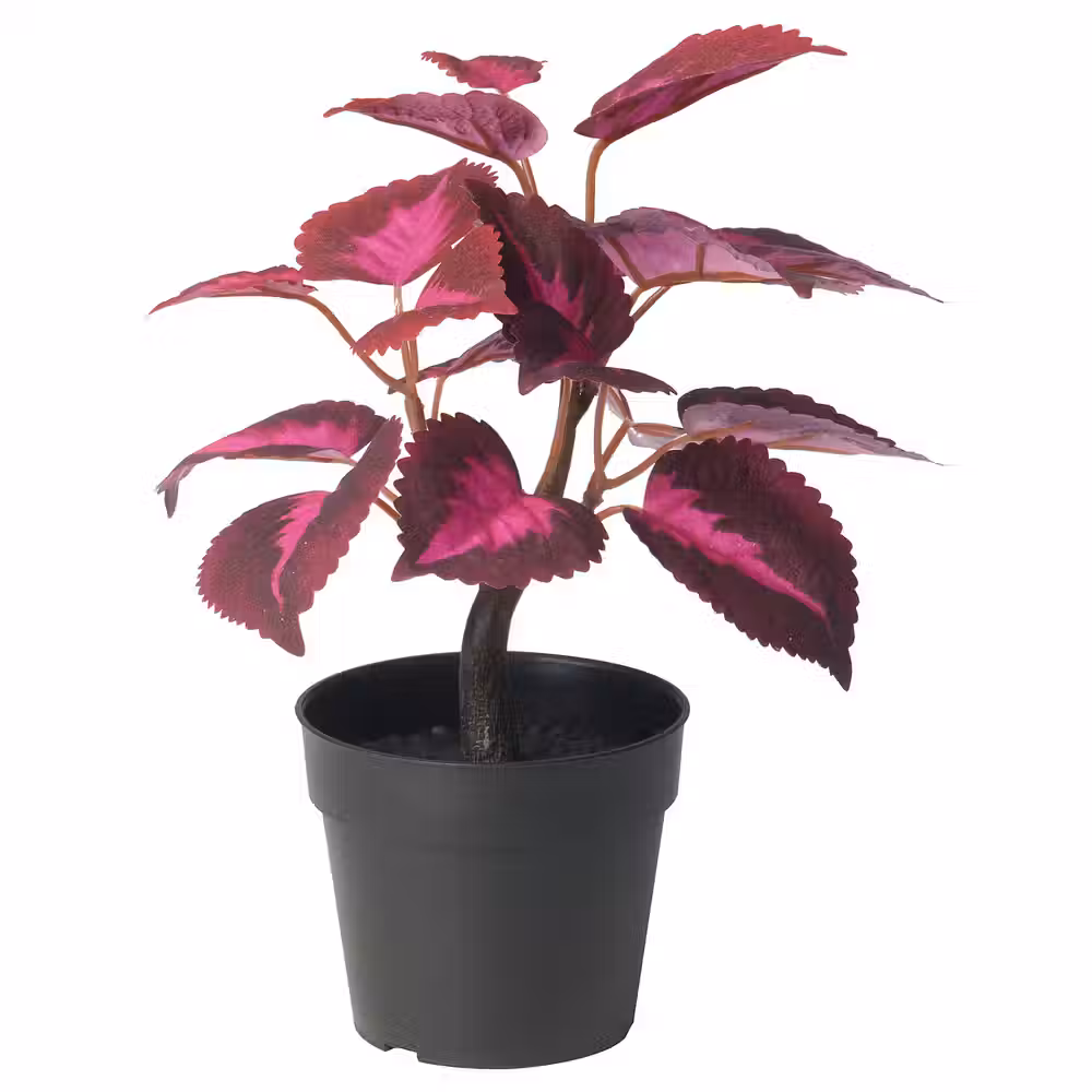 FEJKA Искусственное растение в горшке - д/дома/улицы Цветная крапива/красный 9 см - фото 1