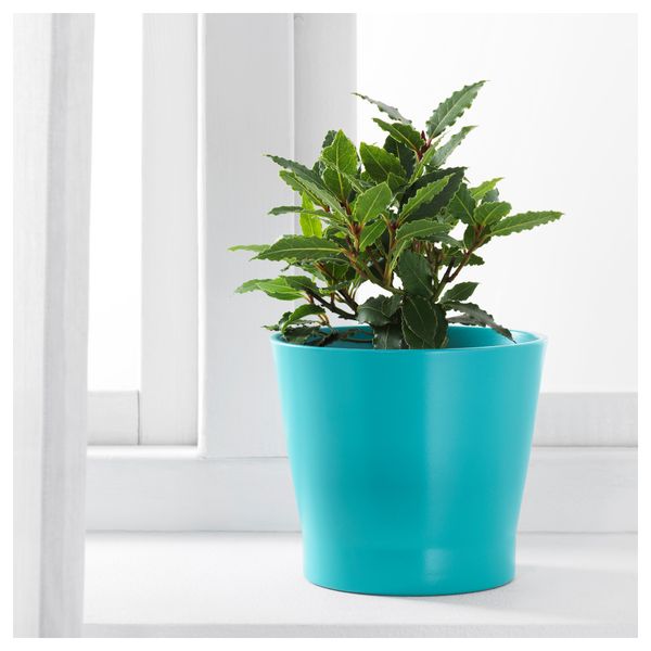 Кашпо ПАПАЙА, бирюзовый - фото 2