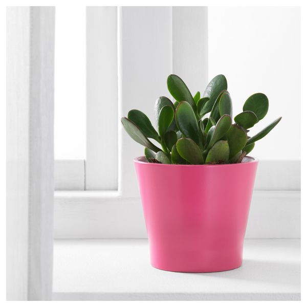 Кашпо ПАПАЙА, темно-розовый - фото 2