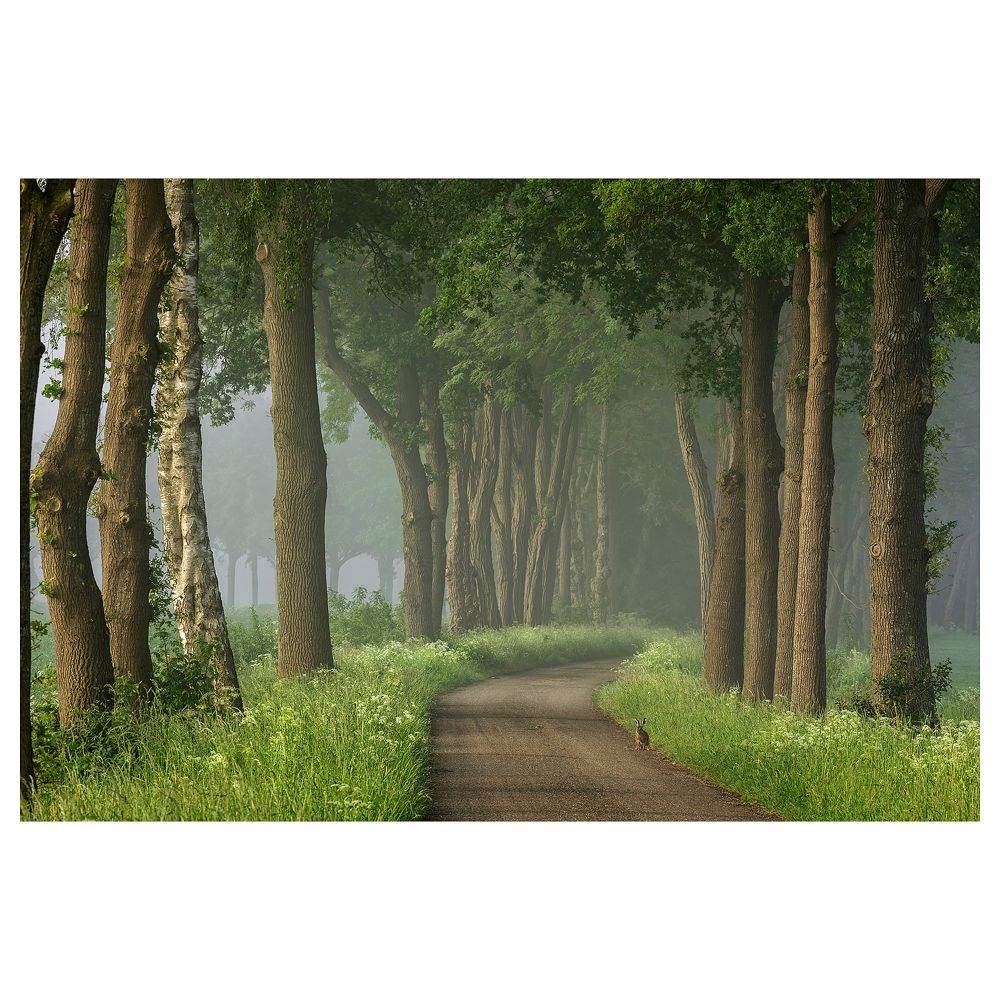 Постер НОРРХАССЕЛ, дорога (91x61 см) - фото 1