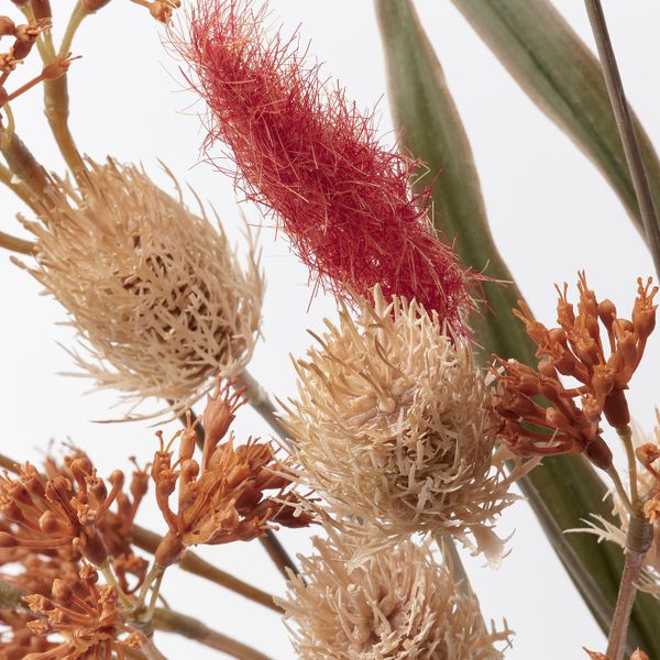 Искусственный букет, для дома, улицы оранжевый 60 см IKEA SMYCKA СМИККА 904.965.34 - схема-чертеж с размерами