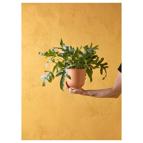 Кашпо, красно-коричневый 15 см IKEA БРИТЭРТ 903.856.30 - фото 4