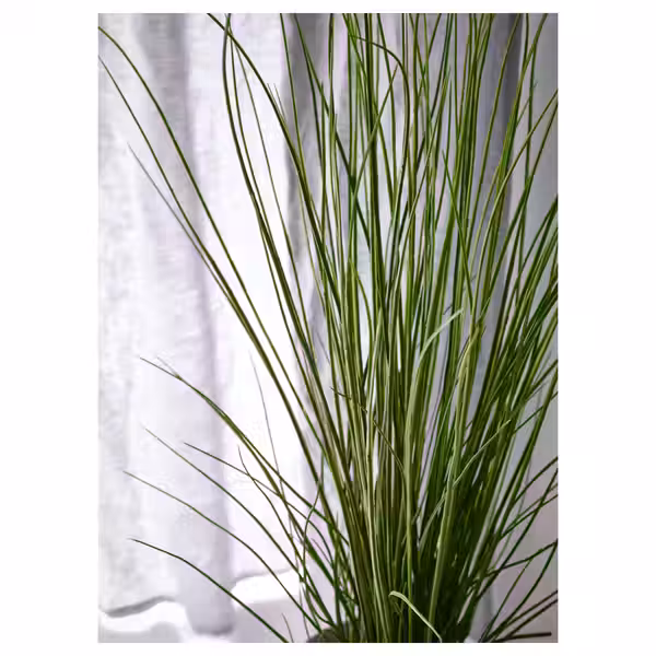 FEJKA Искусственное растение в горшке - трава 17 см - фото 3