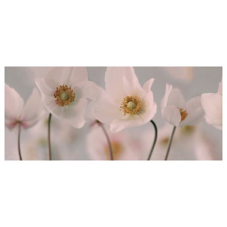 Картина БЬЁРКСТА, Белые цветы (140x56 см)