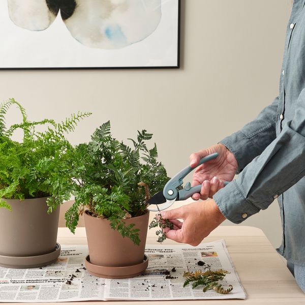 Секатор, светло-серый, серо-синий светлый IKEA BRYTBÖNA БРЮТБОНА 705.607.62 - фото 4