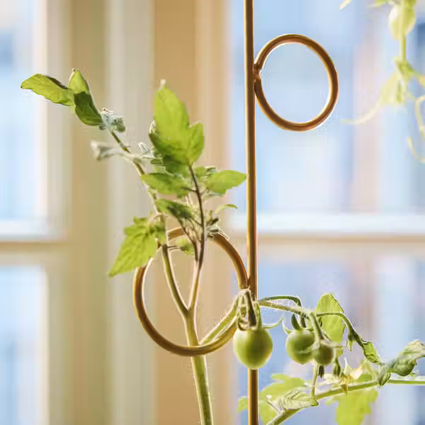 DOFTRIPS Опора для растения, 2 шт. - д/дома/улицы/разные формы - фото 2