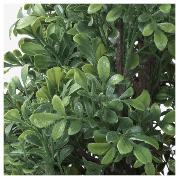 Искусственное растение в горшке ФЕЙКА, д/дома/улицы самшит (19 см) - схема-чертеж с размерами