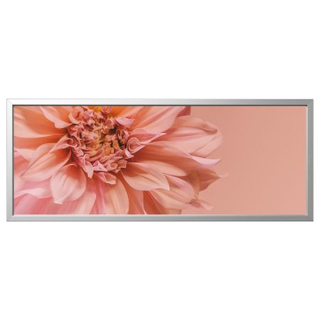 Картина с рамой, Розовые цветы, цвет алюминия, 140x56 см IKEA BJÖRKSTA БЬЁРКСТА 495.616.26