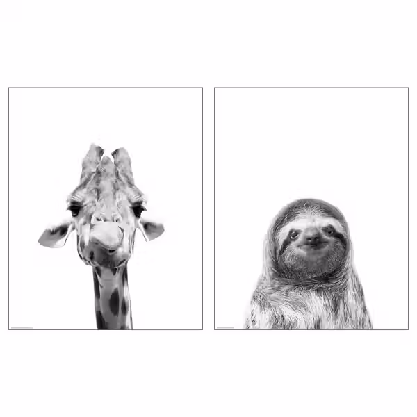 BILD Постер - Привет, друг! 40x50 см - фото 1