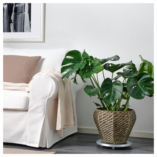 Кашпо ДРУВФЛЭДЕР, водный гиацинт, серый (24 см) - схема-чертеж с размерами