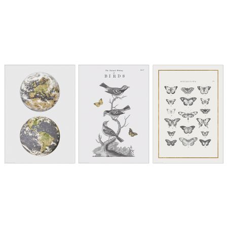 Постер БИЛЬД, Птицы (50x70 см)