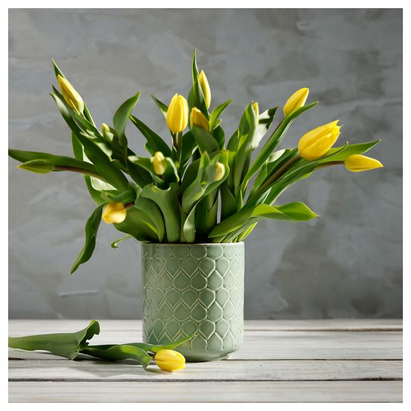 Ваза, 15 см, зеленый IKEA KRYPIDEGRAN 805.673.86 - фото 6