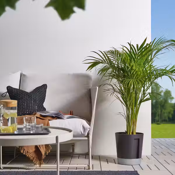 VÅRDTRÄD ВОРДТРЭД Горшок с самополивом - д/дома/улицы прозрачный/антрацит 24 см - фото 5