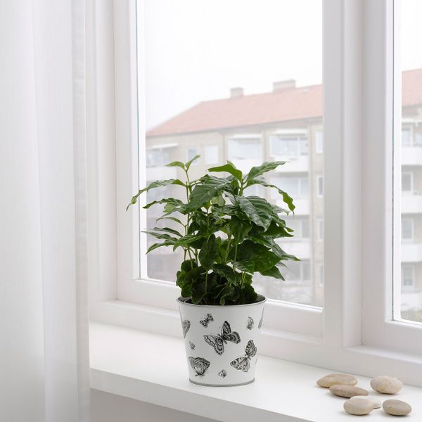 Кашпо, для дома, улицы белый, черный 12 см IKEA СТЬЕРНФРУКТ 004.522.33 - фото 3