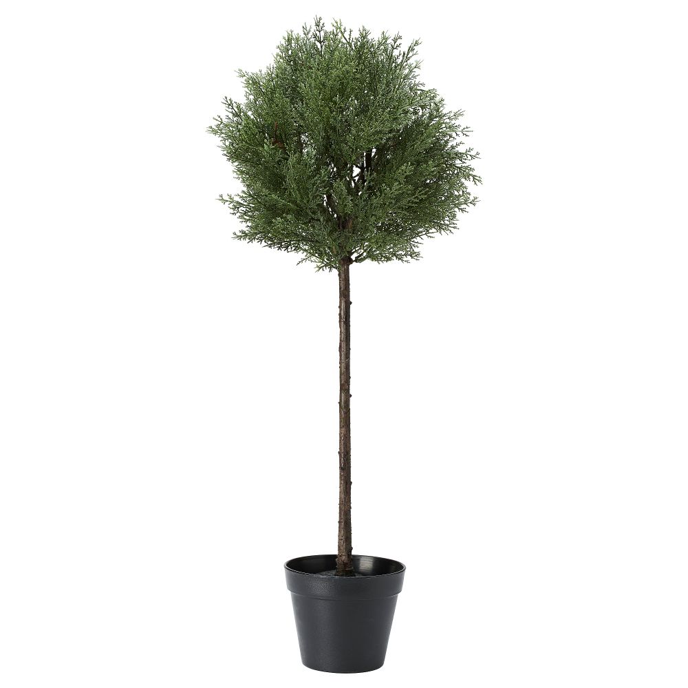 Искусственное растение в горшке ФЕЙКА, д/дома/улицы кедр, кедр стебель стебель (17 см) - фото 1