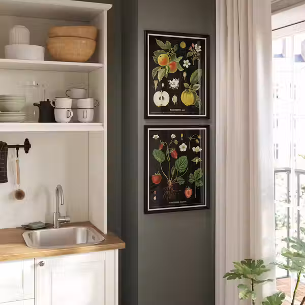 KNOPPÄNG Рама с постером - Винтажные изображения фруктов 40x50 см - фото 2