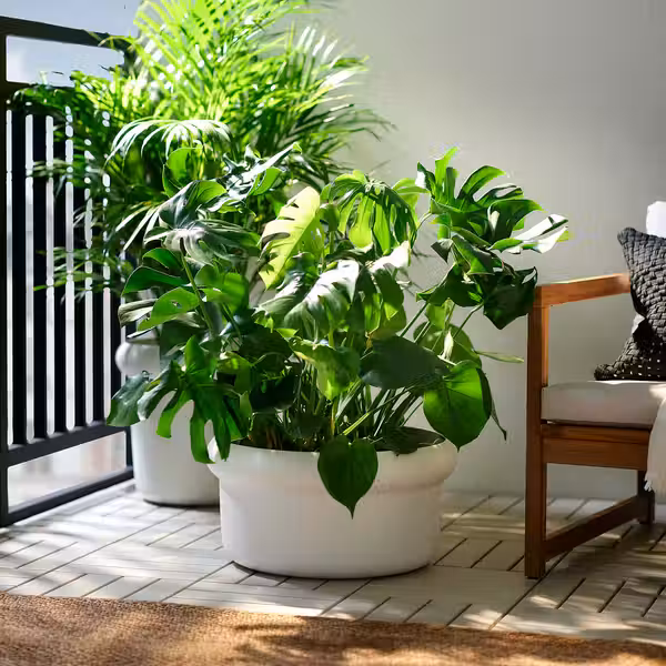 MÅBÄRSBUSKE МОБЕРСБЮСКЕ Горшок цветочный - фото 2